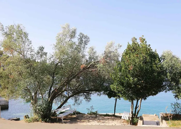 Jozica In - Insel Korcula 6371 公寓 布尔纳